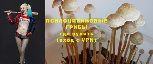 кокс Каменка