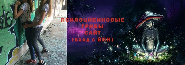 кокс Каменка