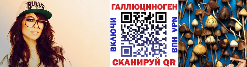 Галлюциногенные грибы Magic Shrooms  Купить где  Кизляр 
